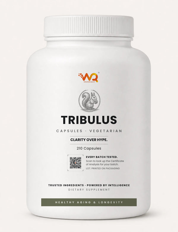 Tribulus Capsules — 1000 mg per serving, 210 capsules (210 servings)