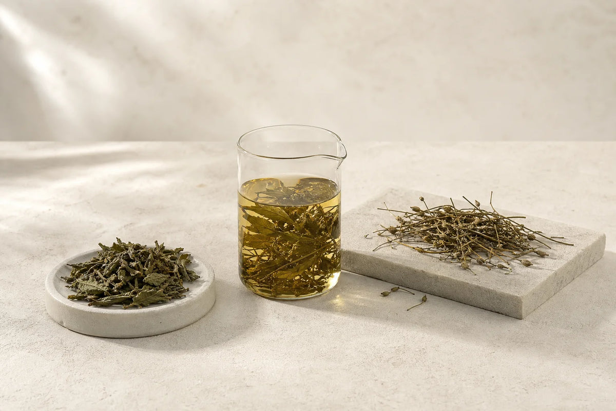 Dried Andrographis paniculata plant material used in research on extracts and andrographolide