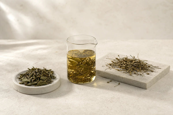 Dried Andrographis paniculata plant material used in research on extracts and andrographolide