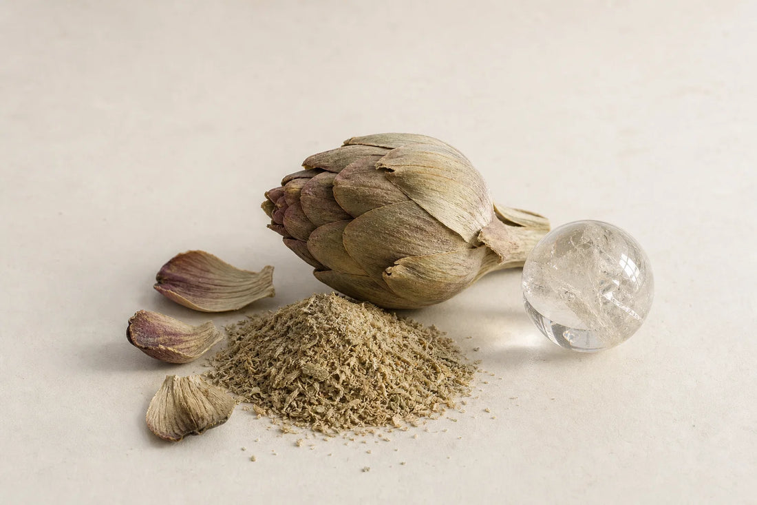 Fresh artichoke leaves and dried leaf extract material used in research on polyphenol content
