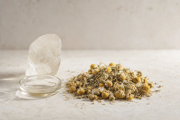 Dried chamomile flowers, a natural source of the flavonoid apigenin