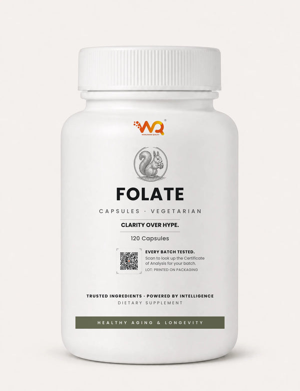 Folate Capsules — 1000 mcg per serving, 120 capsules (120 servings)