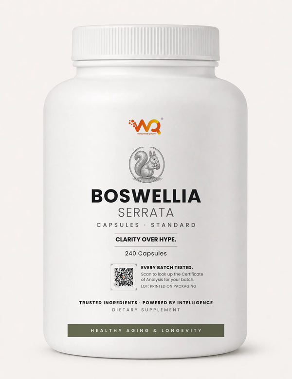 Boswellia Serrata Capsules — 1000 mg per serving, 240 capsules (240 servings)