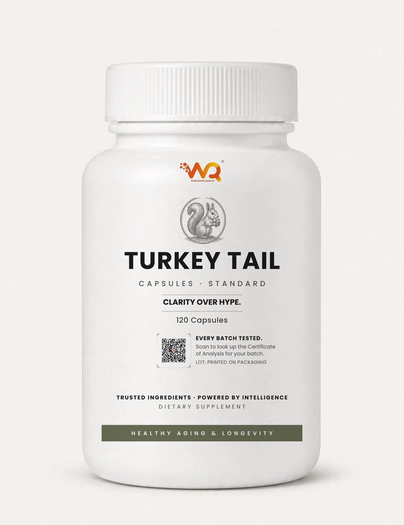 Turkey Tail Capsules — WQ bottle_small