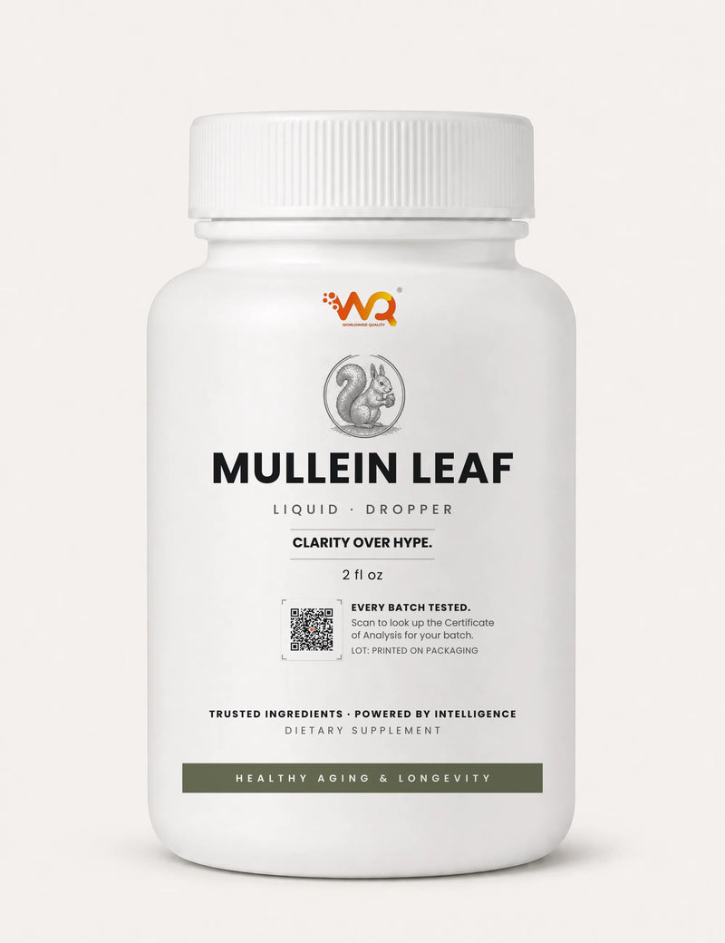 Mullein Leaf Capsules — WQ bottle_small