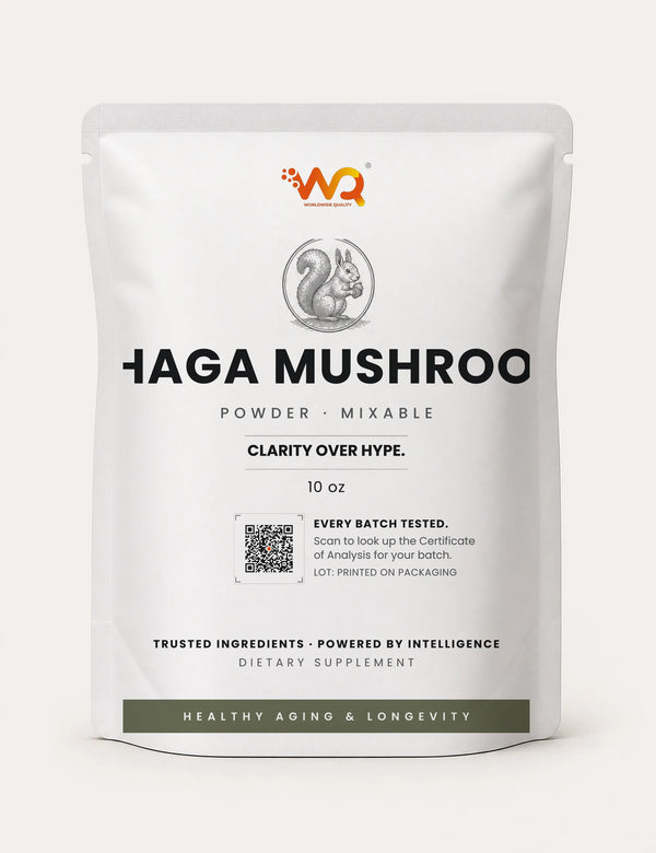 Chaga Mushroom Powder — 1 serving daily, 10 oz (141 servings)